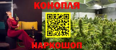 крисы Ярцево