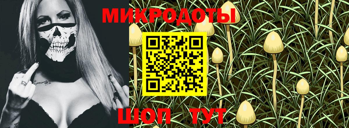 Галлюциногенные грибы прущие грибы  Псилоцибиновые грибы прущие грибы  Вышний Волочёк  Вход с VPN 